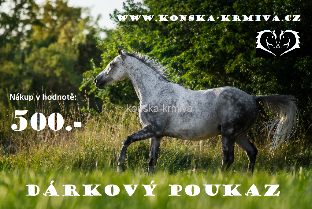 Dárkový poukaz - 500kč